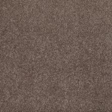 Shaw Floors Roll Special XV813 Rustic Taupe 00706_XV813