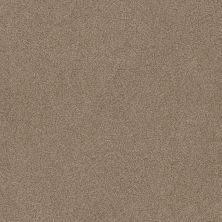 Shaw Floors SFA LOOK FORWARD Sombrero 00710_EA605