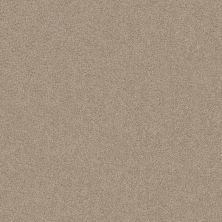 Shaw Floors SFA LOOK FORWARD Cork Board 00711_EA605
