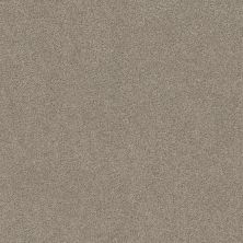 Shaw Floors SFA LOOK FORWARD Cocoa 00712_EA605