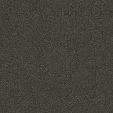 Shaw Floors SFA LOOK FORWARD Rich Earth 00715_EA605