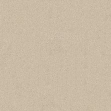 Shaw Floors SFA Awesome 5 (t) Natural Cotton 00110_E0744