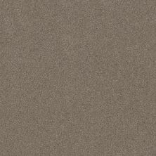Shaw Floors Shaw Flooring Gallery Perfectly Timed Moccasin 00714_5572G