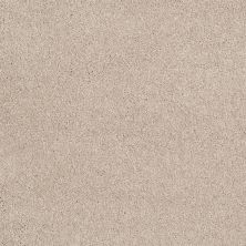 Shaw Floors Roll Special Xv815 French Canvas 00102_XV815