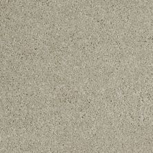 Shaw Floors Value Collections Xvn06 (s) Linen 00104_E1238
