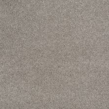 Shaw Floors Value Collections Xvn06 (s) Radiance 00500_E1238