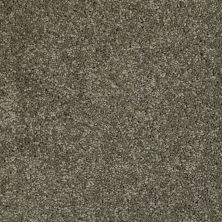 Shaw Floors Value Collections Xvn06 (s) Rustic Taupe 00706_E1238