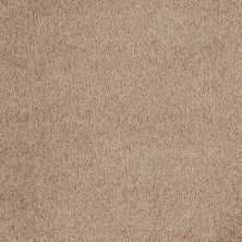 Shaw Floors Value Collections Xvn06 (s) Bridgewater Tan 00709_E1238