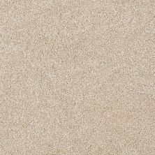 Shaw Floors Value Collections Xvn06 (t) Rich Butter 00210_E1239