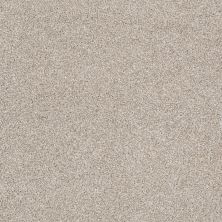 Shaw Floors Value Collections Xvn06 (t) Cork Board 00711_E1239