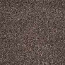 Shaw Floors Value Collections Xvn06 (t) Fudge Ripple 00717_E1239