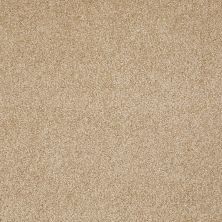 Shaw Floors Value Collections Xvn07 (s) Oakwood 00200_E1240