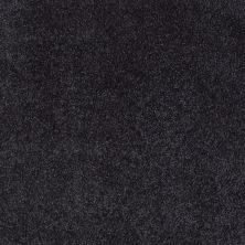 Shaw Floors Value Collections Xvn07 (s) Stunning Navy 00401_E1240