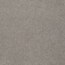 Shaw Floors Value Collections Xvn07 (s) Radiance 00500_E1240