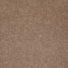 Shaw Floors Value Collections Xvn07 (s) Acorn 00700_E1240