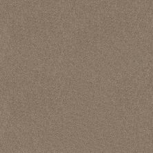 Shaw Floors SFA SWEET LIFE Sombrero 00710_EA606