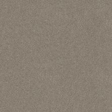 Shaw Floors SFA SWEET LIFE Cocoa 00712_EA606