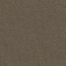 Shaw Floors SFA SWEET LIFE Saddle 00718_EA606