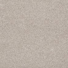 Shaw Floors Value Collections Xvn07 (t) Doeskin 00112_E1241