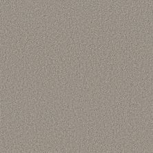 Shaw Floors SWEET INSPIRATION II Tempting Taupe 00724_5E545