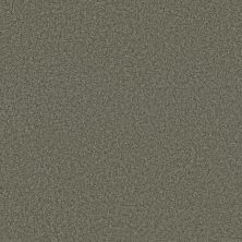 Shaw Floors Shaw Flooring Gallery Premier Role Charcoal 00551_5571G