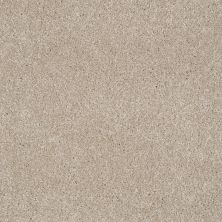Shaw Floors Shaw Flooring Gallery Lucky You French Canvas 00102_5574G