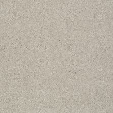 Shaw Floors Shaw Flooring Gallery Lucky You Soft Chamois 00103_5574G