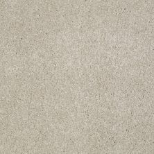 Shaw Floors Shaw Flooring Gallery Lucky You Linen 00104_5574G