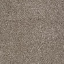 Shaw Floors Shaw Flooring Gallery Lucky You Ashen 00704_5574G
