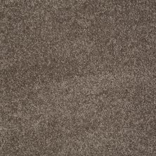 Shaw Floors Shaw Flooring Gallery Lucky You Rustic Taupe 00706_5574G
