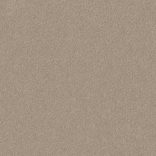 Shaw Floors YOU KNOW IT Cork Board 00711_E0807