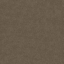 Shaw Floors YOU KNOW IT Saddle 00718_E0807