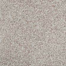 Shaw Floors Value Collections Color Flair Net Resort Sand 00101_E0853