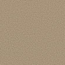 Shaw Floors Value Collections Color Flair Net Cornmeal 00103_E0853