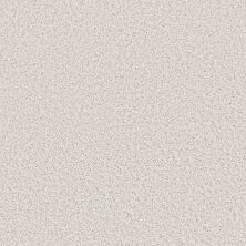 Shaw Floors Value Collections Color Flair Net First Star 00110_E0853