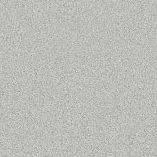 Shaw Floors Value Collections Color Flair Net Fiesta Beige 00114_E0853