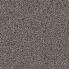 Shaw Floors Color Flair Gray Flannel 00504_E0852