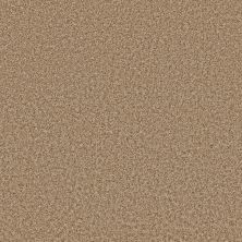 Shaw Floors Value Collections Color Flair Net Honey Butter 00700_E0853