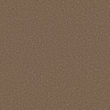 Shaw Floors Great Choice Brushed Suede 00702_E9130