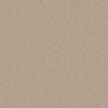 Shaw Floors Value Collections Nantucket Summer 12′ Taupe 55105_E9903