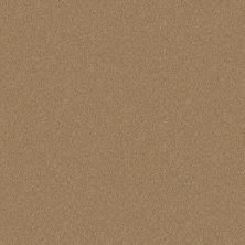 Shaw Floors Home Foundations Gold Modern Image 12′ Straw Hat 00260_HGP19