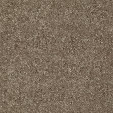 Shaw Floors Home Foundations Gold Modern Image 12′ Driftwood 55720_HGP19
