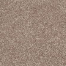 Shaw Floors Value Collections Newbern Classic 12′ Net Taupe Mist 55792_E9198