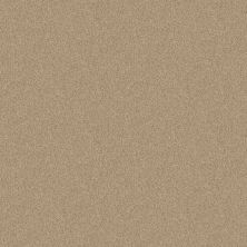 Shaw Floors Value Collections NEWBERN CLASSIC 15′ NET Casual Cream 00230_E9199