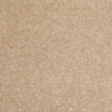 Shaw Floors Home Foundations Gold Modern Image 15′ Straw Hat 00260_HGP20
