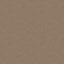 Shaw Floors Home Foundations Gold Modern Image 15′ Plaster 55752_HGP20