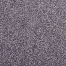 Shaw Floors Value Collections Nantucket Summer 15′ Violet Crush 00930_E9919
