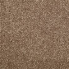 Shaw Floors Value Collections Nantucket Summer 15′ Candied Truffle 55750_E9919