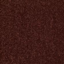 Shaw Floors Value Collections Dyersburg Classic 15′ Net Coffee 55755_E9193