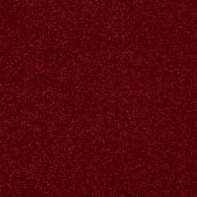 Shaw Floors Value Collections Dyersburg Classic 15′ Net Crimson 55803_E9193